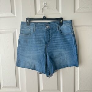 Express Shortie High Rise Denim Shorts